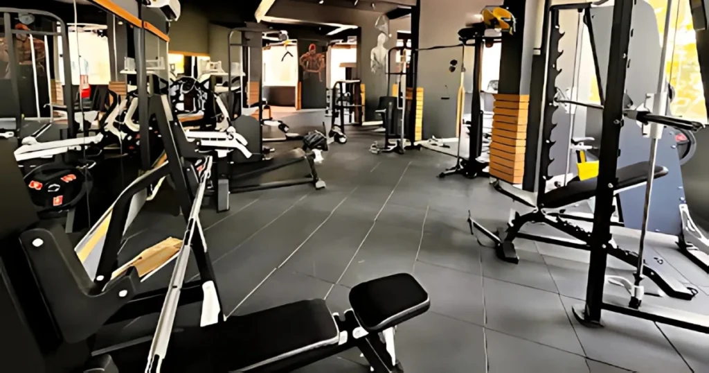 quality gym equipments of Malhar Fitness Studio