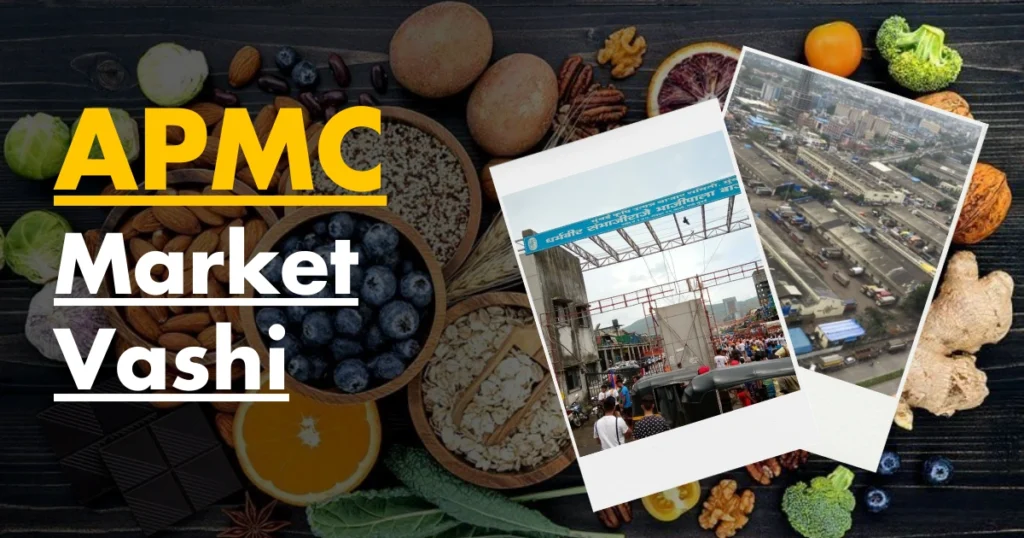 APMC Market Vashi is Visible in this Image.