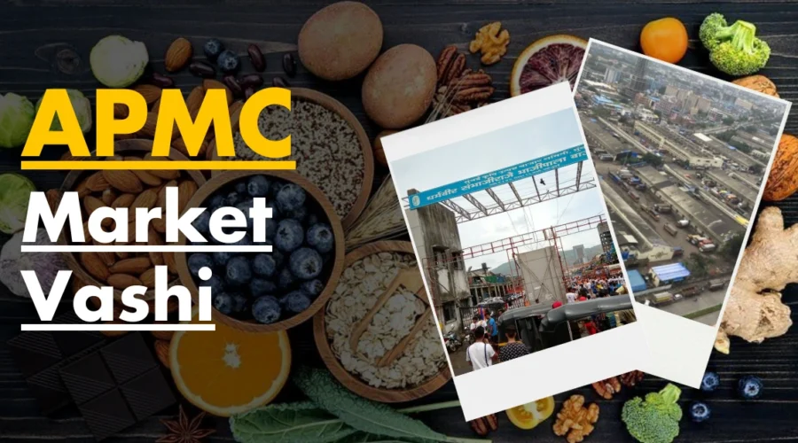 Apmc Market Vashi, Navi Mumbai : Full Details