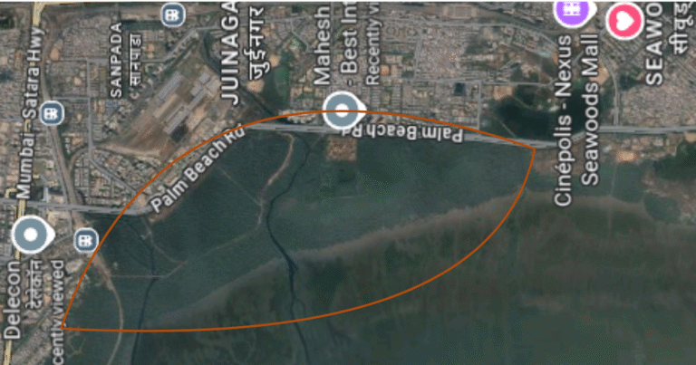 This Image About Of Mangroves in Navi Mumbai.