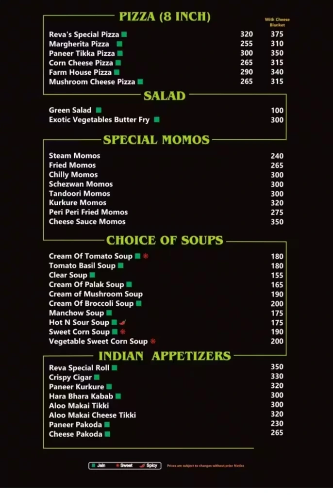 this is menu page 3 of Reva pure veg restaurant vashi