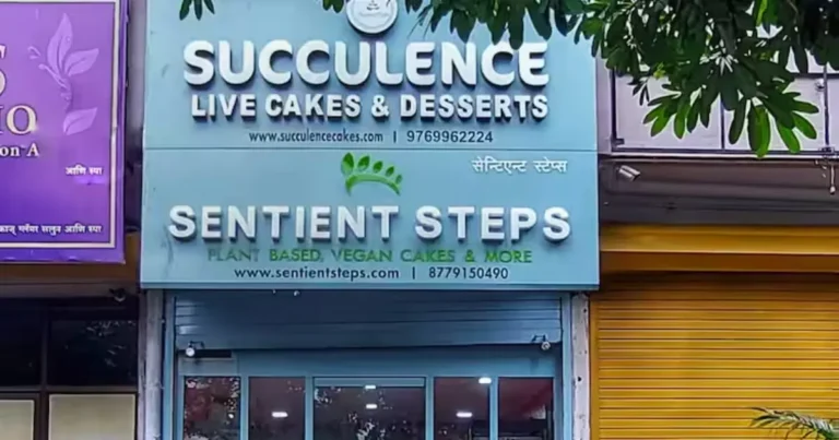 This image is of Succulence cake shop.