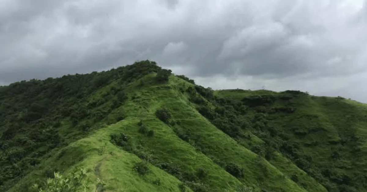 hill view kharghar sector 21 is visible in this image.