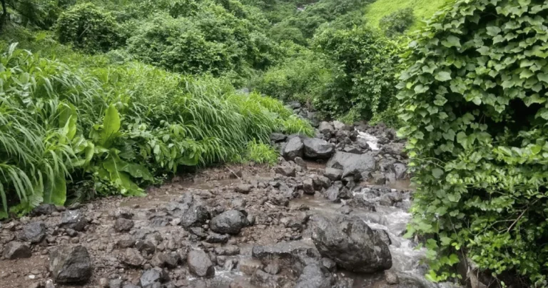 Arjun Kada Waterfall Image is visible in this image.