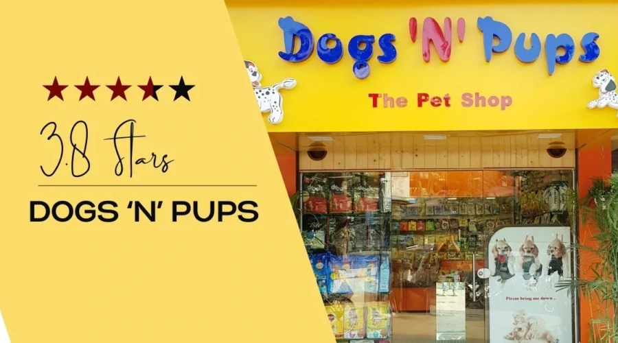 Dogs ‘N’ Pups Nerul Pet Shop