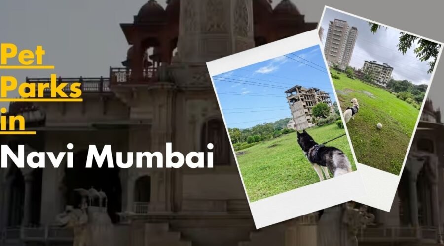 Best 5 Pet Parks in Navi Mumbai