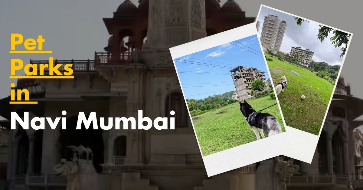 Best 5 Pet Parks in Navi Mumbai