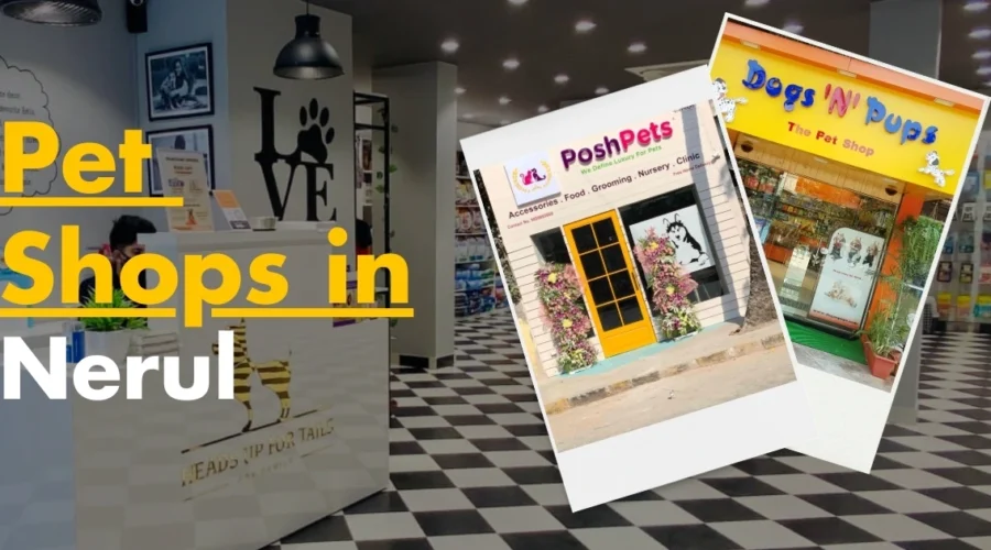5 Best Pet Shops in Nerul – Navi Mumbai
