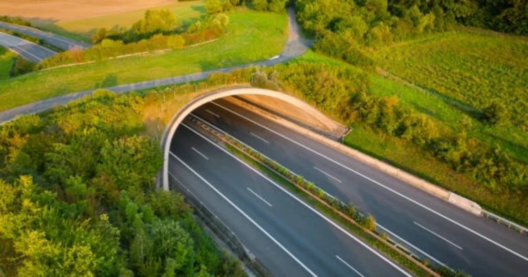 Kharghar Coastal Road Environmental Impact and Mitigation
