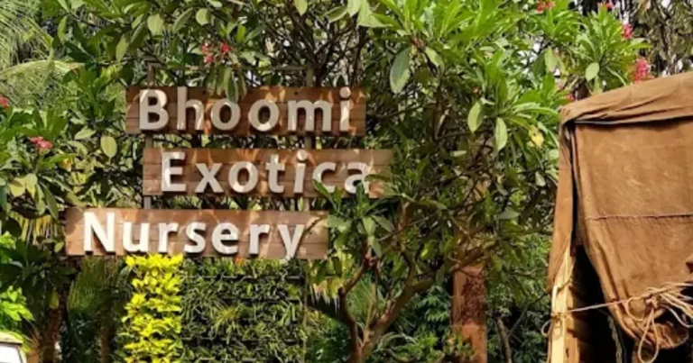 Bhoomi Exotica Plant Nursery is visible in this image.