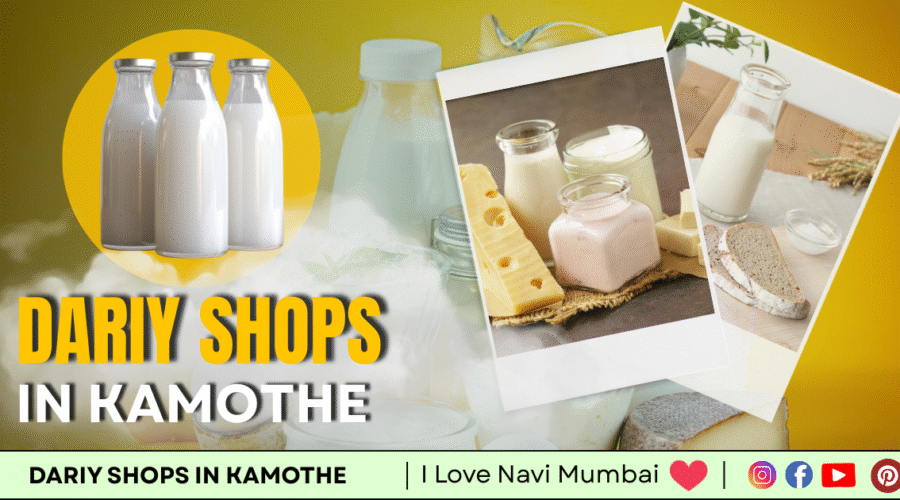 3 Best Dairy Shops in Kamothe