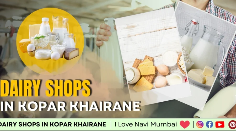 5 Best Dairy Shops in Kopar Khairane