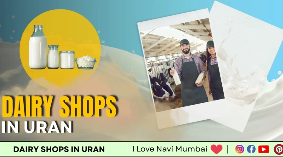 3 Best Dairy Shops in Uran