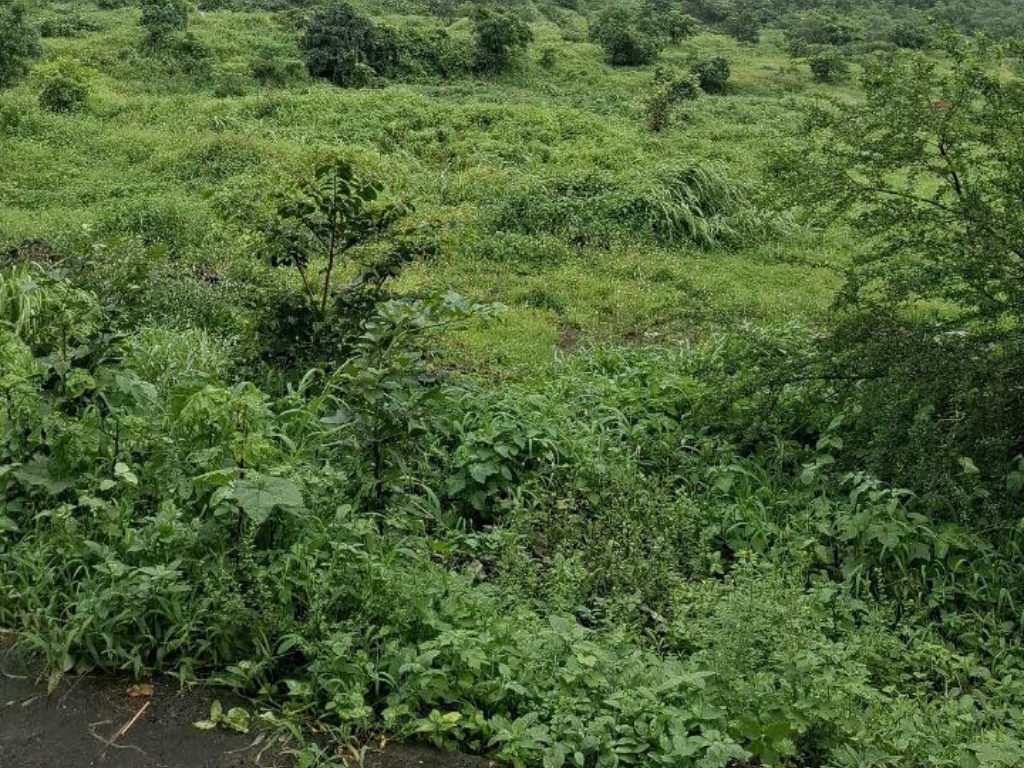 Kharghar Hill greenery is visible in this image.