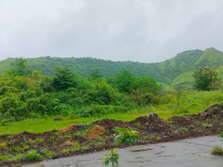 Kharghar Hills Navi Mumbai is visible in this image.