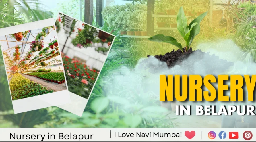 Best 5 Nursery in Belapur