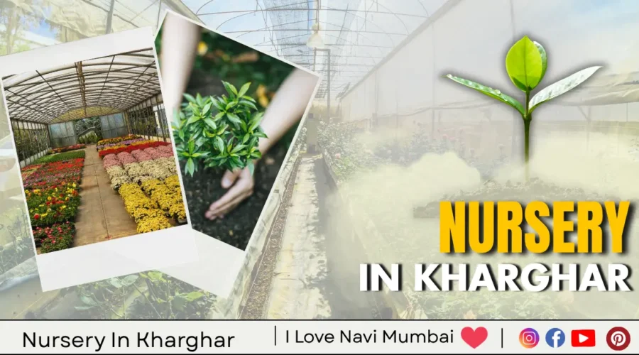 Best Nursery in Kharghar