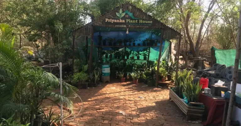 Priyanka Plant House is visible in this image.
