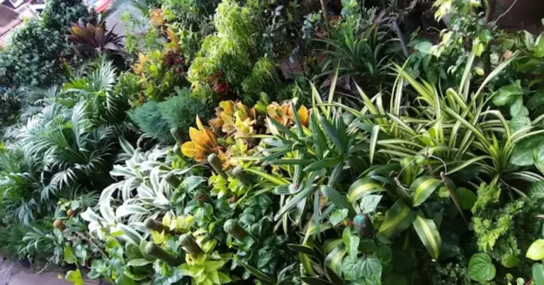 Upendra Nursery is visible in this image.