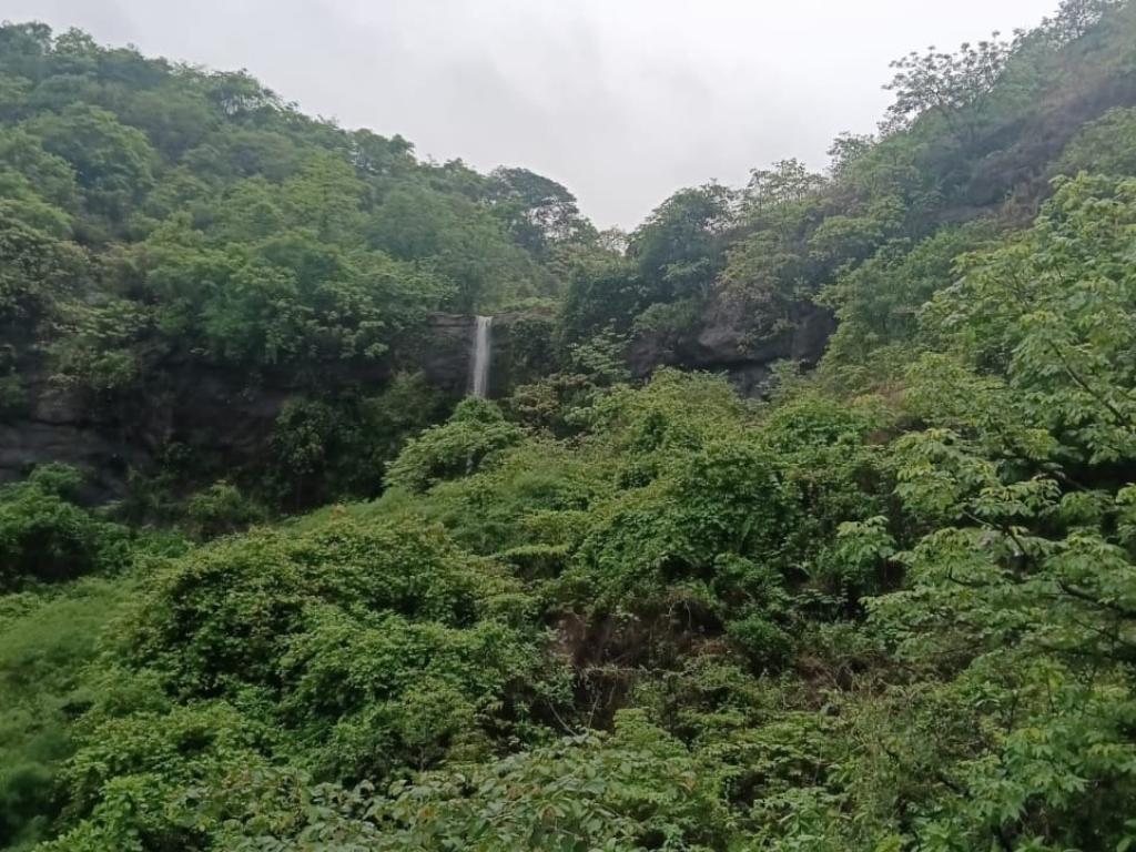Waterfall is visible in this image.