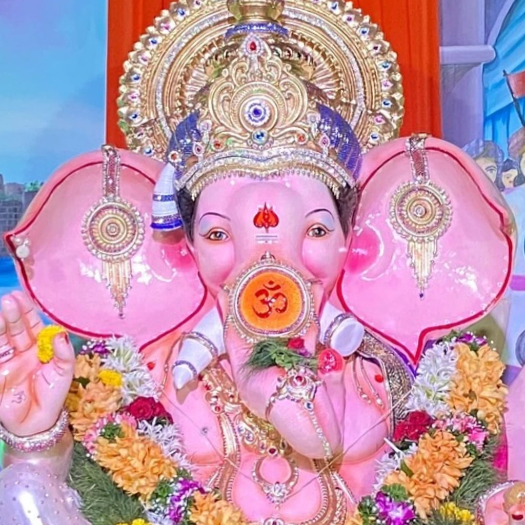 seawoodscha raja Face is visible in this image.