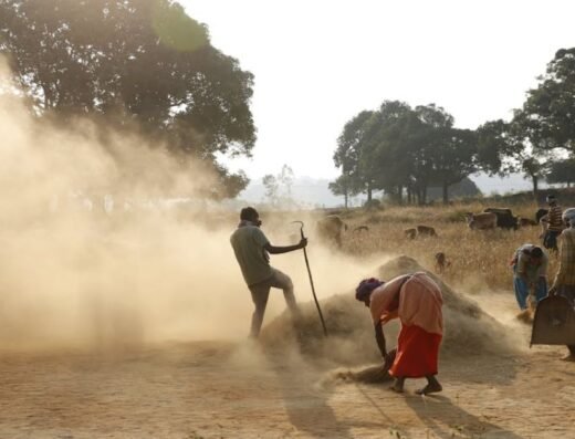 The daily struggle for farmers in the Navi Mumbai region is set to intensify as they face uncertainty over the NAINA development project. (Stock image for representation).