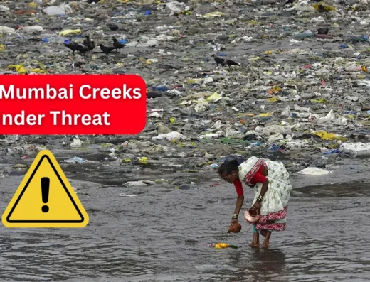 In this image we can see the Navi mumbai creeks totally polluted and a a warning sign is visible in this image.
