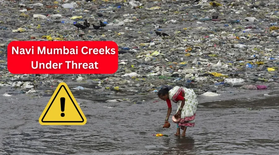 Koli Community vs MPCB Navi Mumbai’s Creek Pollution Battle Reaches Court