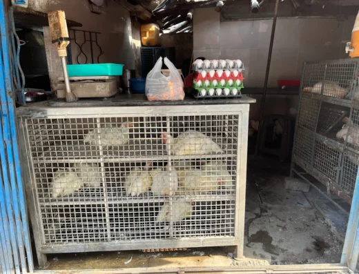 Belpada Chicken And Mutton Shop Kharghar, Navi Mumbai