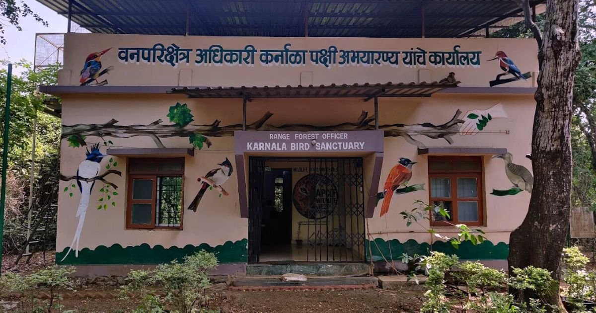 Forest officer is visible in this image