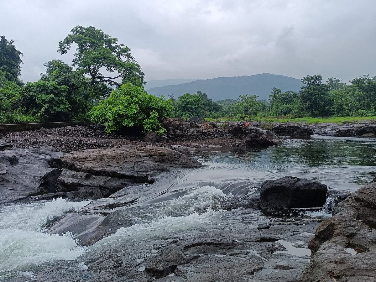 Gadeshwar Dam Greenary