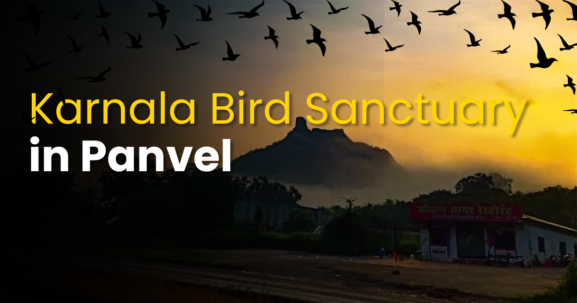 Karnala Bird Sanctuary