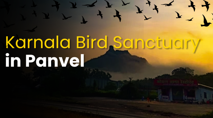 Karnala Bird Sanctuary & Fort – Complete Guide