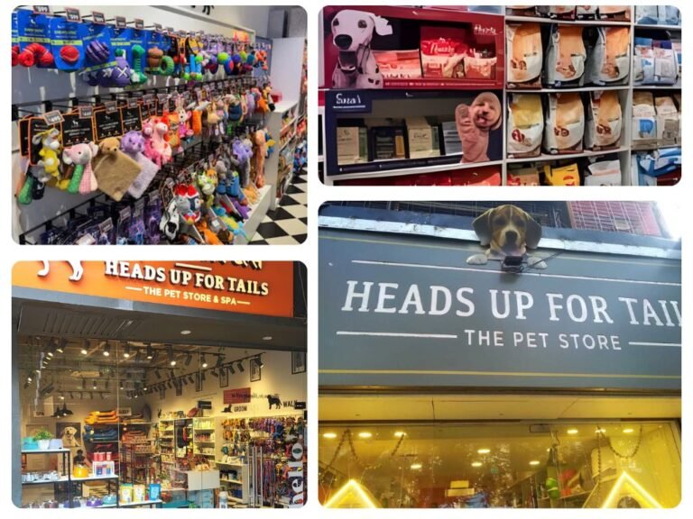 is visible in this image