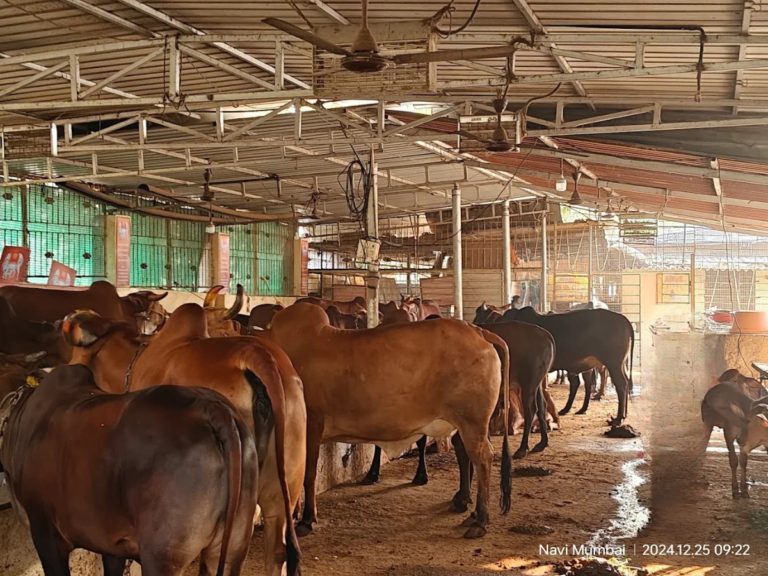 Shree Aai Mataji Mandir temple in kharghar is visible in this image