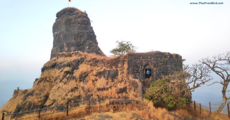 karnala fort panvel navi mumbai is visble in this image