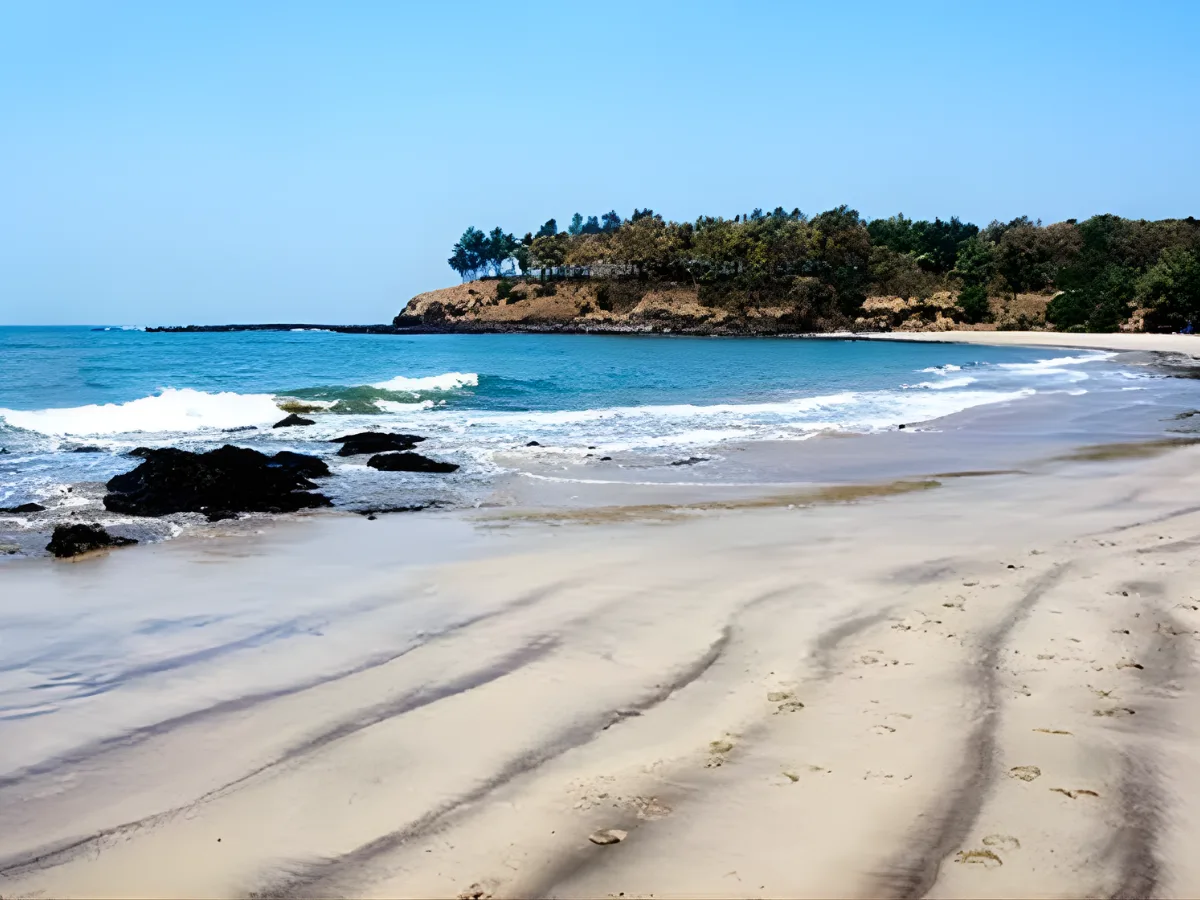 How to Reach From alibaug to NMIA is visible in this iamge