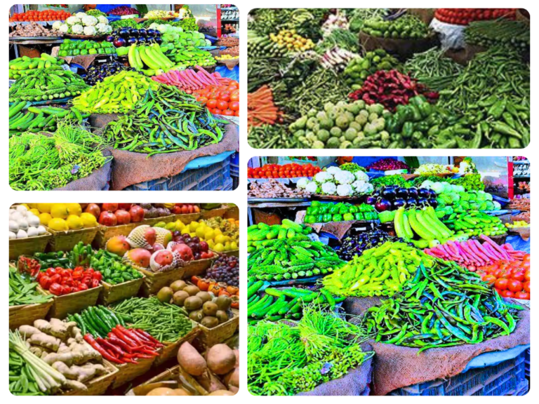 is visible in this image