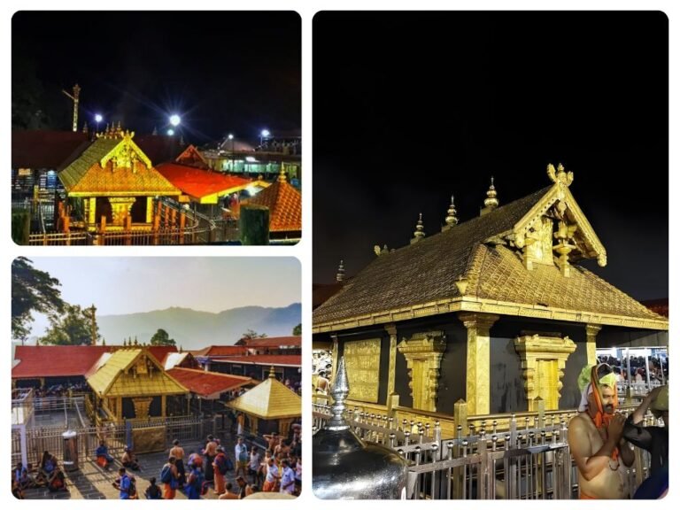 is visible in this image