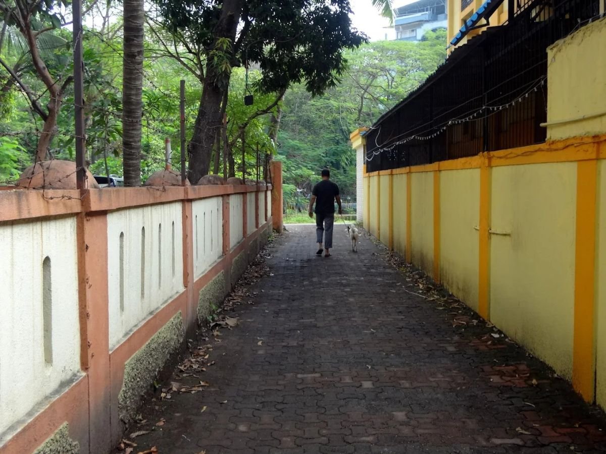 is visible in this image