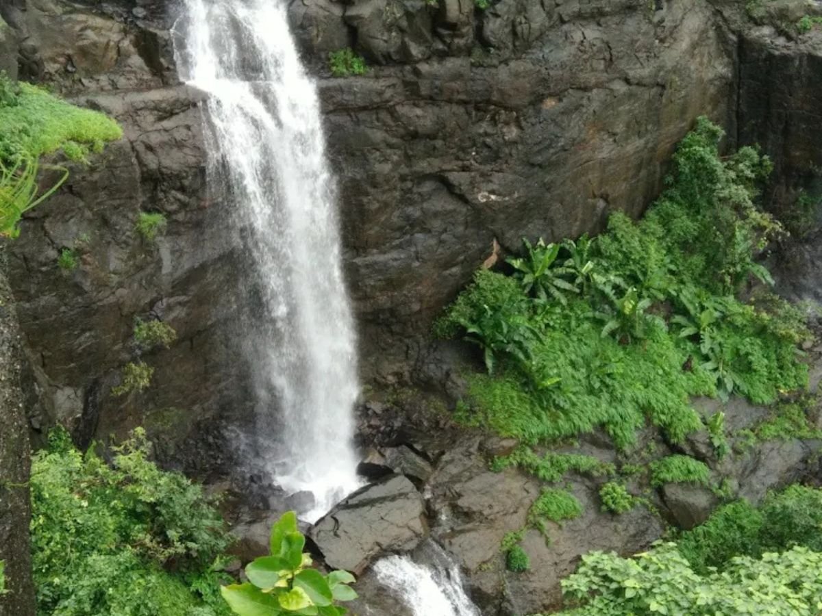 is visible in this image