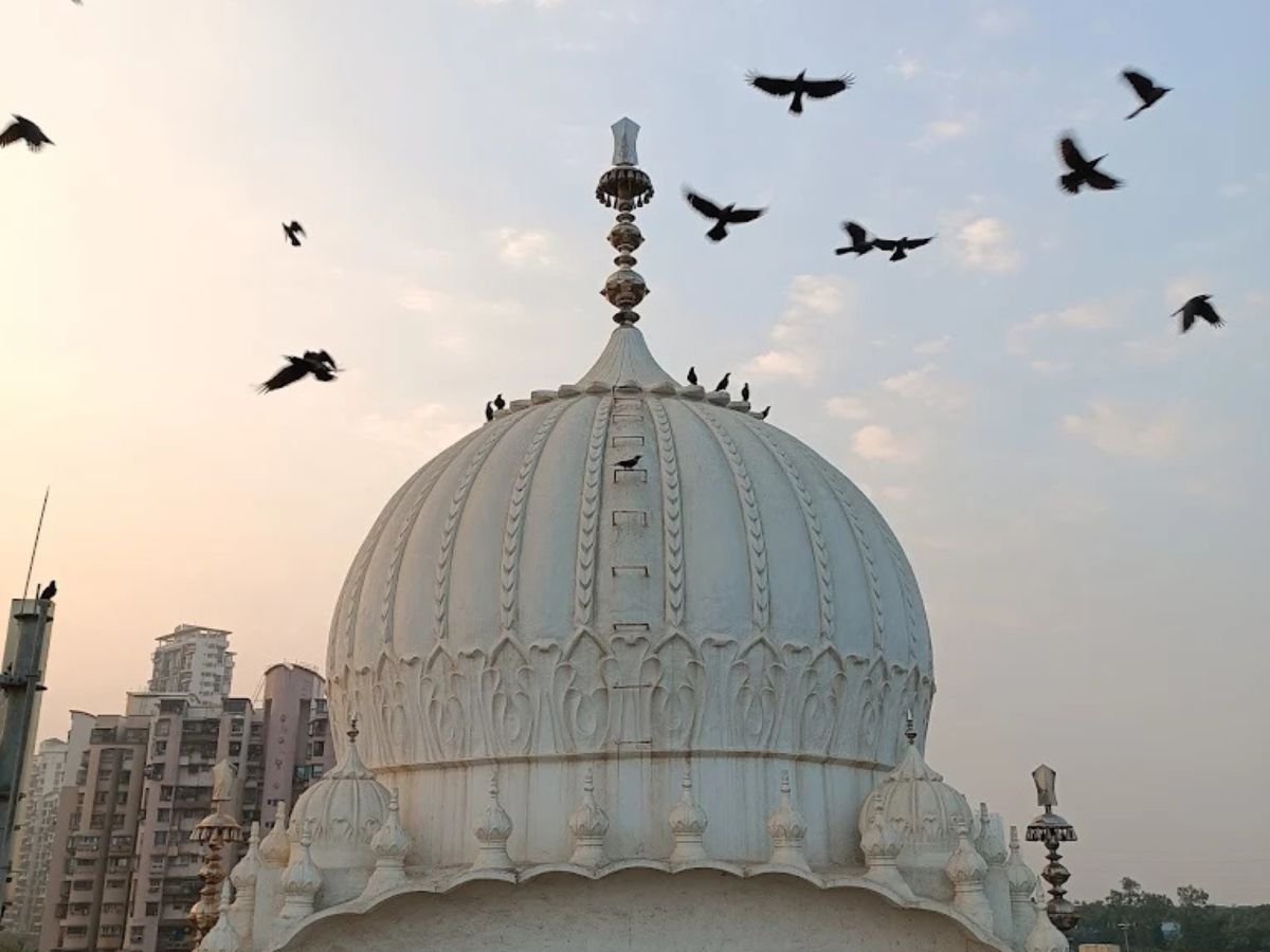 is visible in this image