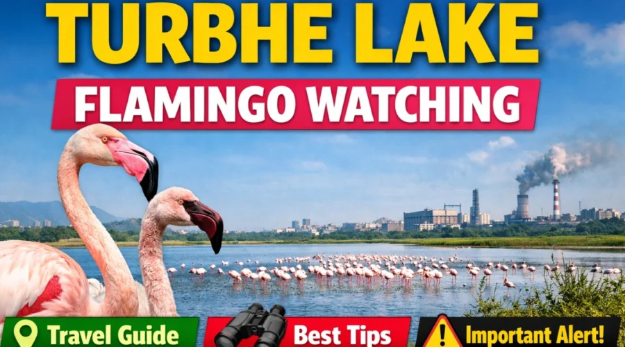 Turbhe Lake Navi Mumbai – Flamingo Habitat, Location & Timings