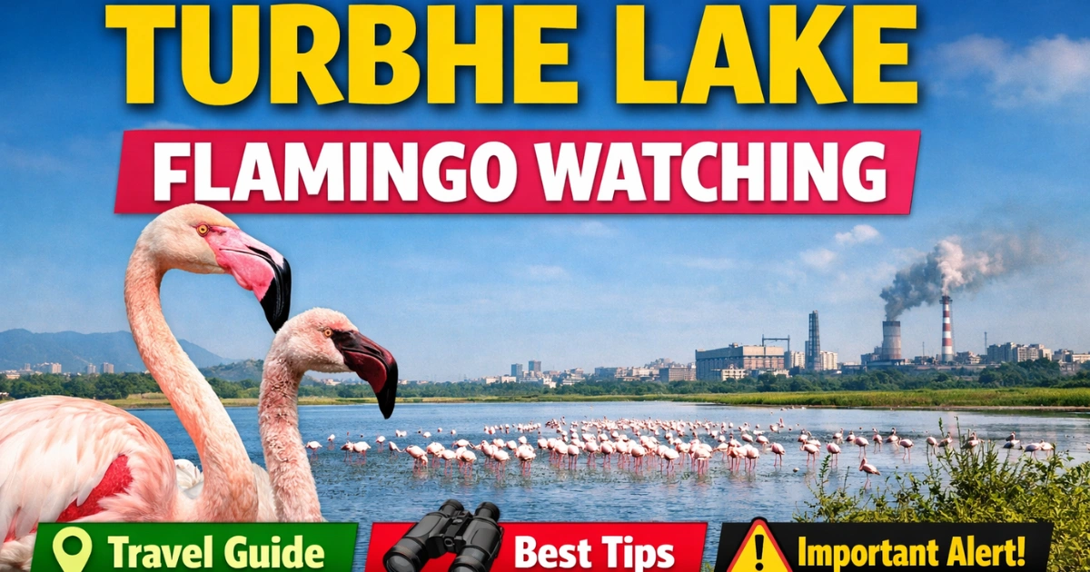 Turbhe Lake Navi Mumbai – Flamingo Habitat, Location & Timings