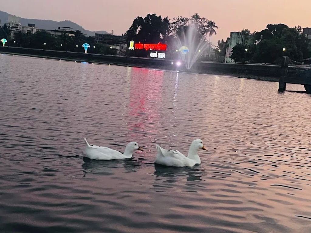 is visible in this imge