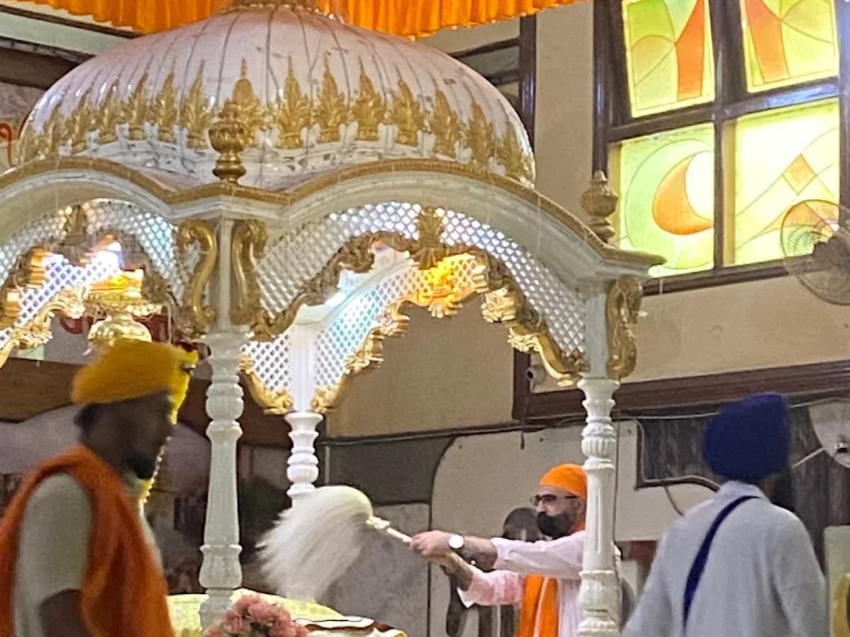 is visible in this image