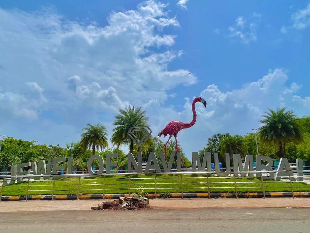 is visible in this image