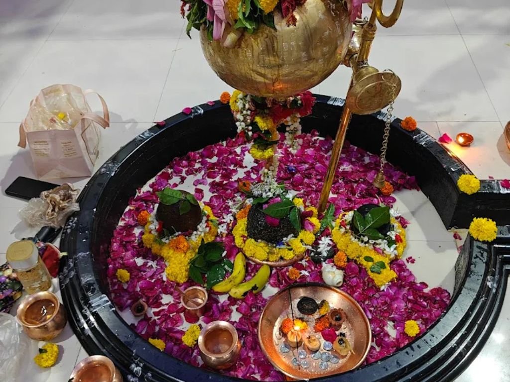 is visible in this image