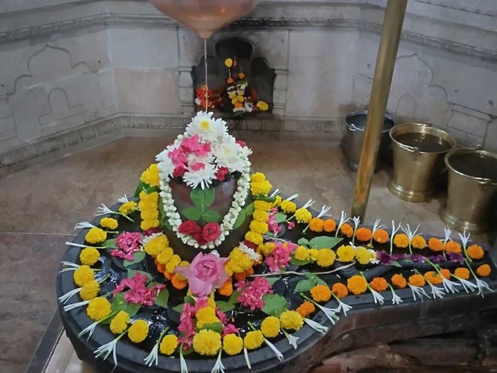 is visible in this image