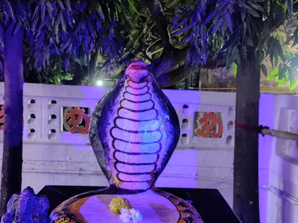 is visible in this image